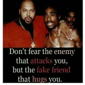 Meet your Posher, Vernon